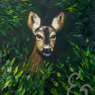 Observer